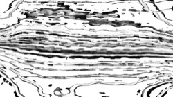 image: image from msg drawing set