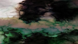 image: image from nagal series 1