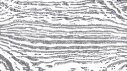 image: image from bw abstraction