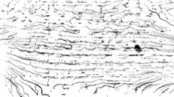 image: image from bw abstraction