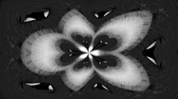 image: image from bw attractor