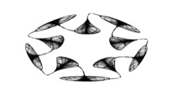 image: image from bw attractor