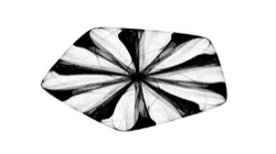 image: image from bw attractor