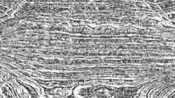 image: image from head abstraction