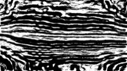 image: image from head abstraction