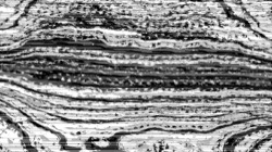 image: image from head abstraction