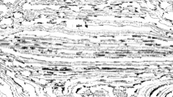 image: image from head abstraction