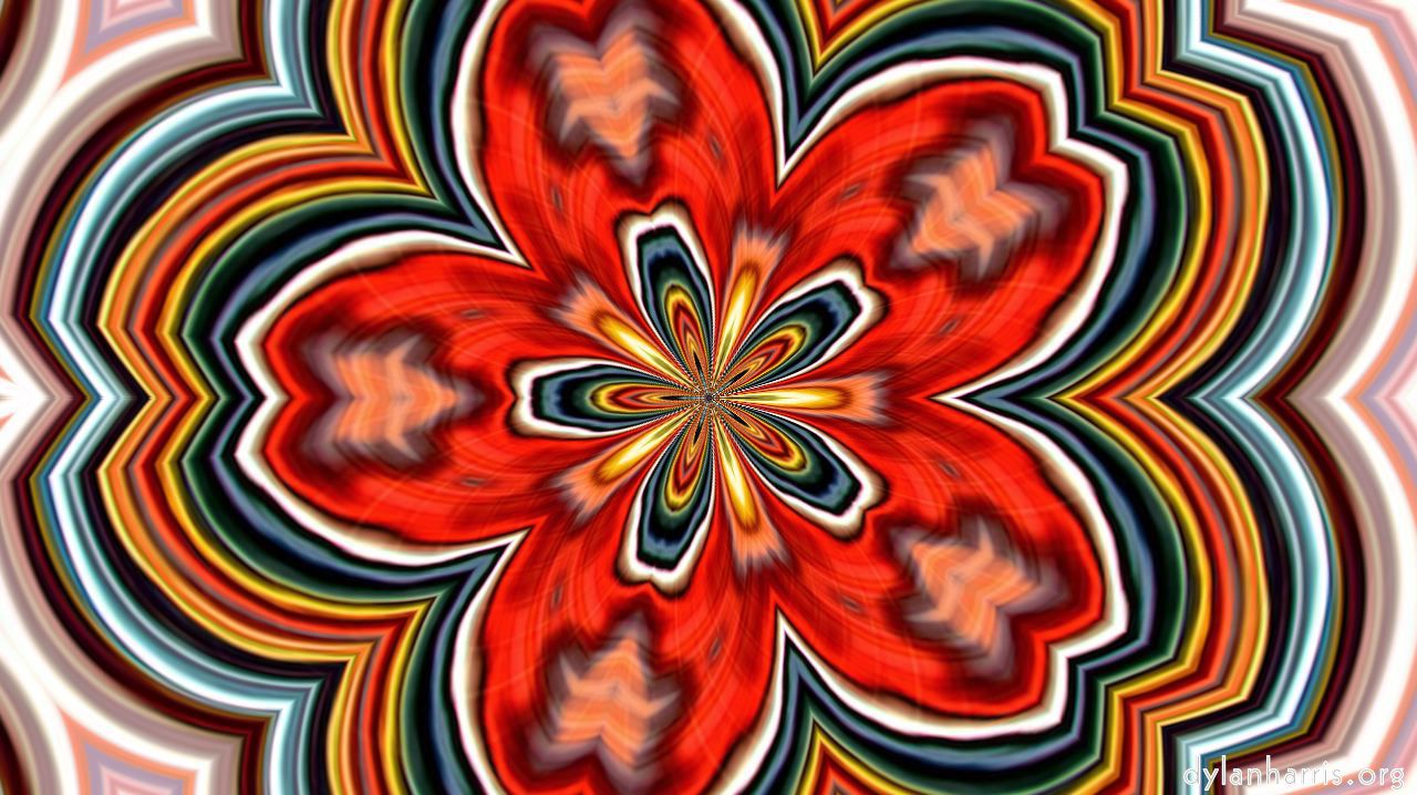 image: kaleido :: kaleidocycle