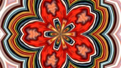 image: image from kaleido