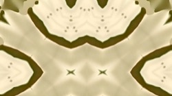 image: image from pattern