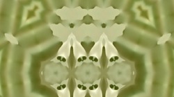 image: image from pattern