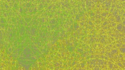 image: image from pattern