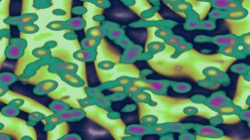 image: image from pattern 2