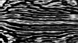 image: image from src process