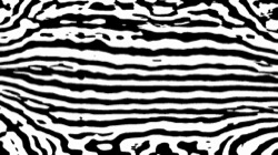 image: image from src process