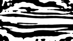 image: image from src process