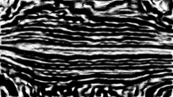 image: image from src process