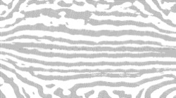 image: image from src process