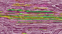 image: image from src process