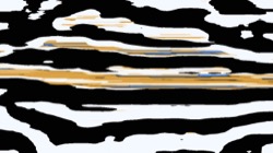 image: image from src process