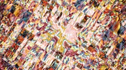 image: image from 3.5.1 new 3