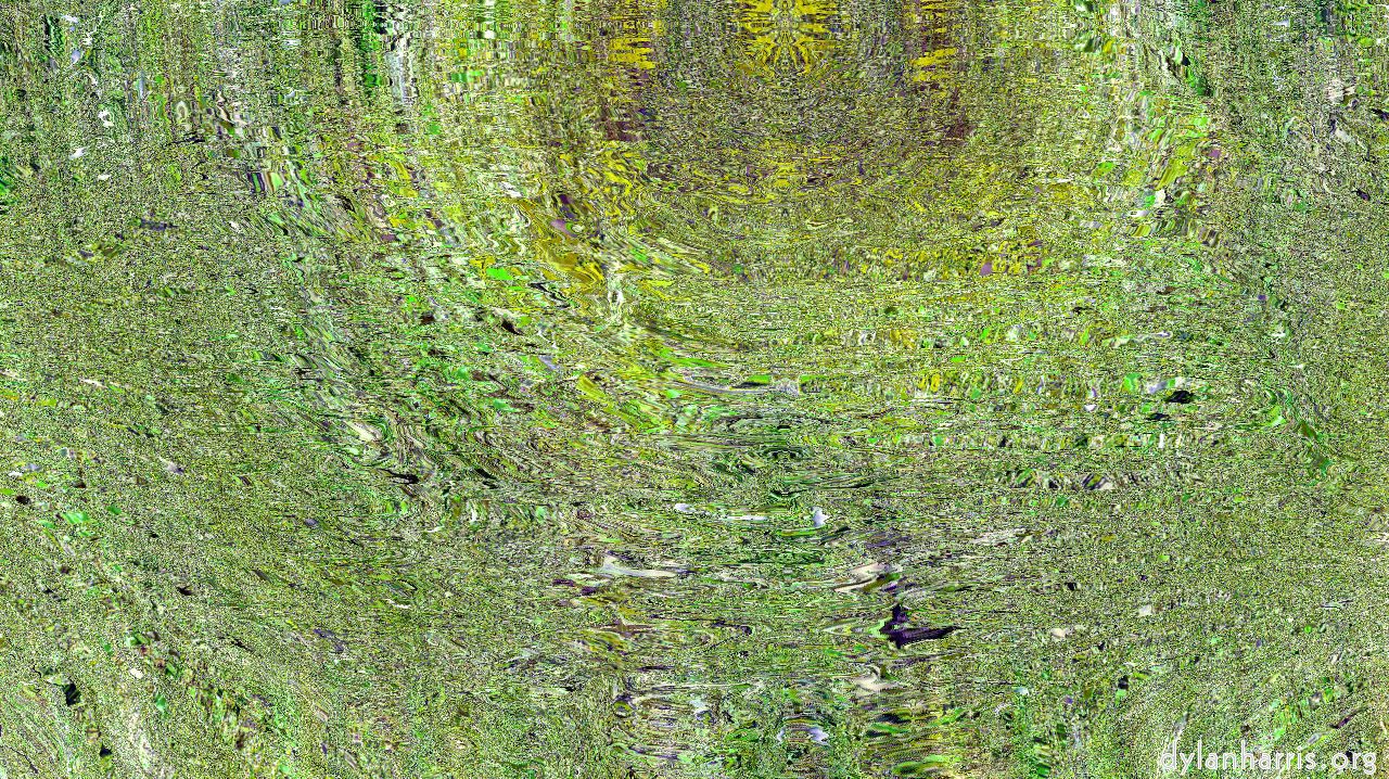 image: backing :: backing56