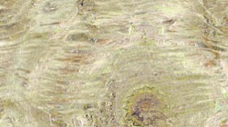 image: image from backing