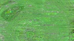 image: image from backing