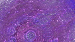 image: image from backing