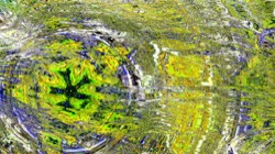 image: image from backing