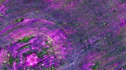 image: image from backing