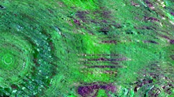 image: image from backing