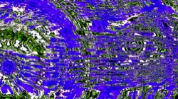 image: image from backing