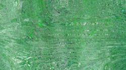 image: image from backing