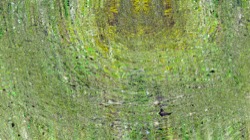 image: image from backing