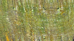 image: image from backing