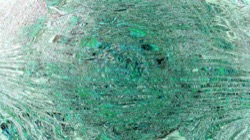 image: image from backing