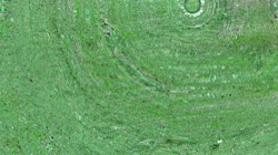 image: image from backing