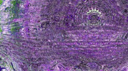 image: image from backing 1