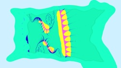 image: image from boxed