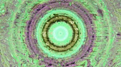 image: image from centred