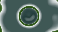 image: image from centred