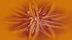 image: image from centred