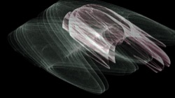 image: image from chaos