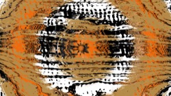 image: image from circular