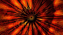 image: image from circular