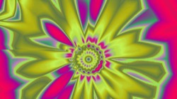 image: image from cirsym