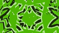 image: image from cirsym