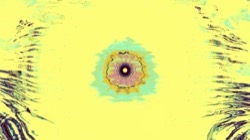 image: image from d1