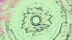 image: image from d1